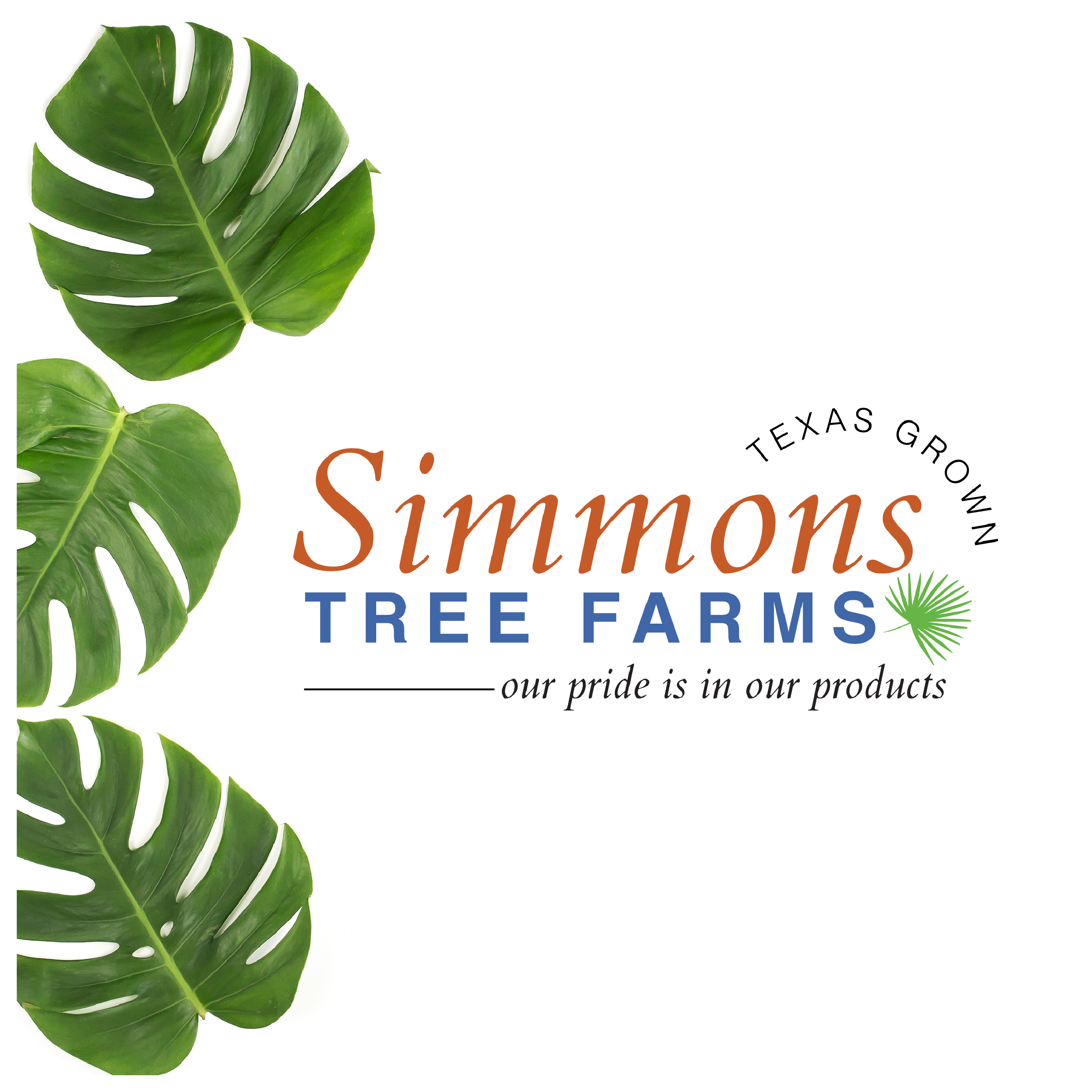 New Brand: Simmons Tree Farms